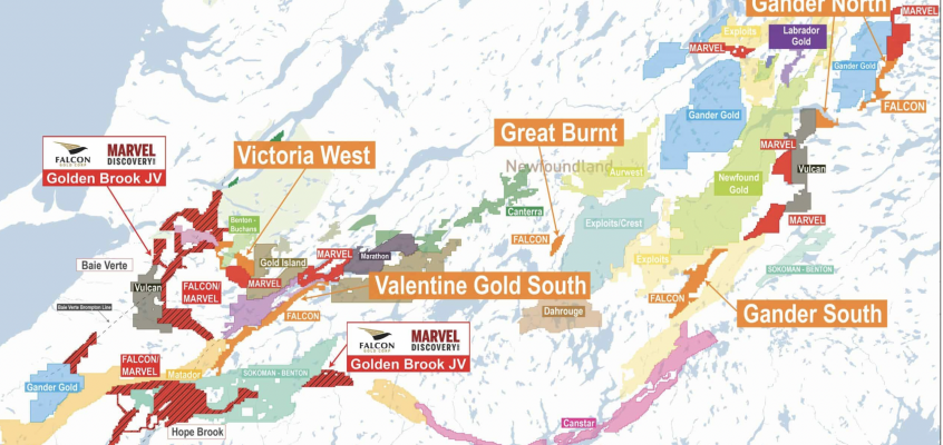 Falcon Gold a top-5 gold claims holder in Newfoundland + multiple assets across Canada