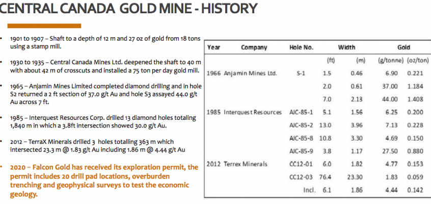 Exclusive CEO Interview, Karim Rayani of Falcon Gold